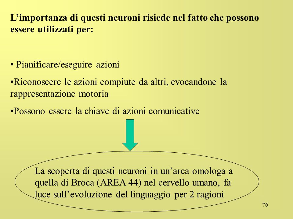 NEURONI A SPECCHIO E INTERSOGGETTIVITA ppt scaricare